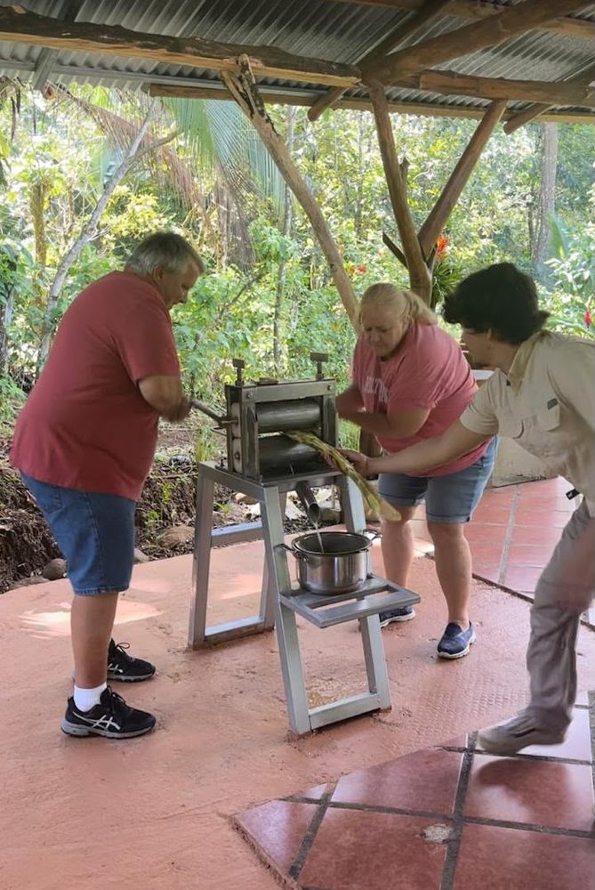 Prensando caña de azúcar a mano durante el taller