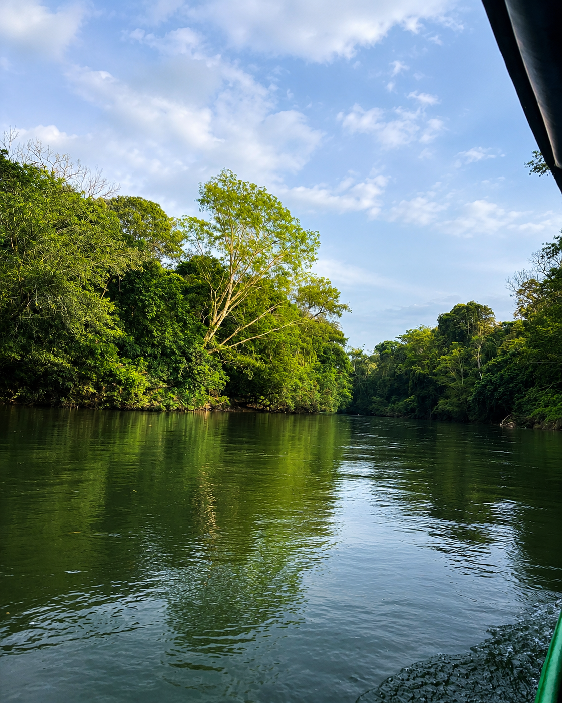 Río tranquilo entre la selva, visto desde un bote